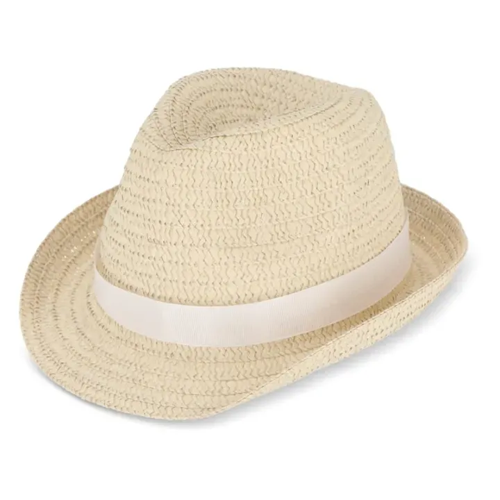 Plant straw hat with coloured band - LT90502 (N0001)